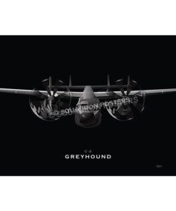 C-2 Greyhound Jet Black Lithograph