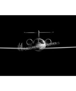 C-21 Jet Black Lithograph