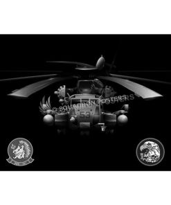 Marine Heavy Helicopter Squadron 461 (HMH-461)