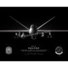 MQ-9, 53rd TMG DET 4, 556 TES Jet Black Lithograph