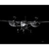 DHC-6 Twin Otter Jet Black Lithograph