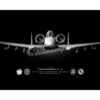 355th AMXS A-10 Warthog Jet Black Lithograph 355th AMXS A-10 Warthog Jet Black Lithograph