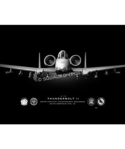 355th Aircraft Maintenance Squadron