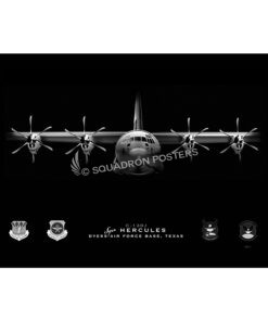 JB Dyess AFB 317 OSS Lithograph