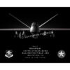 Jet Black Ellington Field JRB MQ-9 147th AW Lithograph