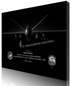 Ellsworth AFB MQ-9 89th ATKS