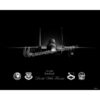 F-15 95th Fighter Squadron Jet Black Lithograph