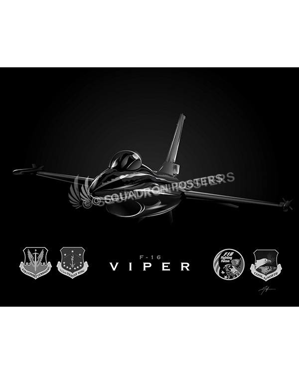 Jet Black F-16 115th FW-SP01076MFEAT-jet-black-aircraft-lithograph