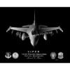Jet Black F-16 121st FS Lithograph Jet Black F-16 121st FS Lithograph