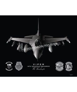 16th Weapons Squadron USAF Fighter Weapons School Jet Black Lithograph