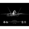 F-22 43d AMU Jet Black Lithograph