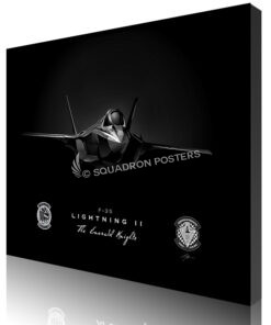 308th fighter squadron