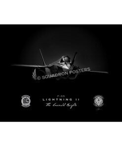 Luke AFB 308th Fighter Squadron Jet Black Lithograph