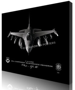 Jet Black Holloman AFB F-16 49 CMS