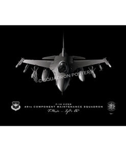 Jet Black Holloman AFB F-16 49 CMS