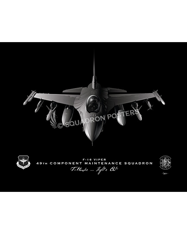Jet Black Holloman AFB F-16 49 CMS