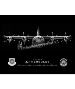 19th Aircraft Maintenance Squadron