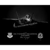 Luke AFB 63d FS F-35 Jet Black Lithograph