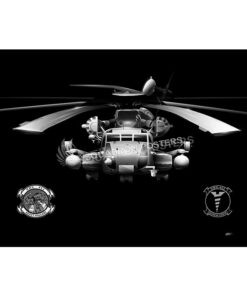 Marine Heavy Helicopter Squadron 462 (HMH-462)