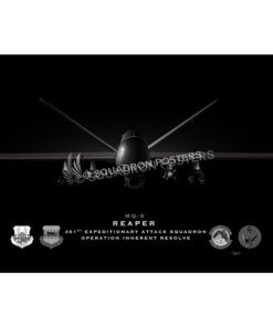 361st Expeditionary Attack Squadron