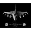 Jet Black Minnesota ANG 179th FS Lithograph
