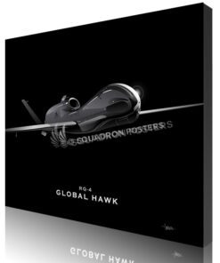 Jet Black RQ-4 GENERIC SP01302-featured-canvas-lithograph-art