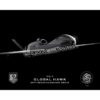 RQ-4B 69th RG Jet Black Lithograph