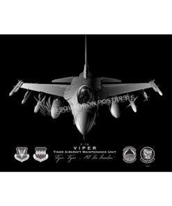 F-16 Tiger AMU Jet Black Lithograph Jet Black Shaw AFB F16c 79th FS 20 AMXS SP01446-FEAT-jet-black-aircraft-lithograph