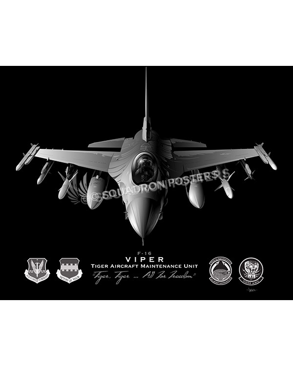 F-16 Tiger AMU Jet Black Lithograph Jet Black Shaw AFB F16c 79th FS 20 AMXS SP01446-FEAT-jet-black-aircraft-lithograph