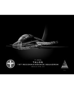 T-38A 1st RS Jet Black Lithograph