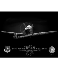 37th Flying Training Squadron
