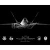 F-22, 95th FS Jet Black Lithograph Jet Black Tyndall AFB F-22 95th FS SP01395-FEAT-jet-black-aircraft-lithograph-art