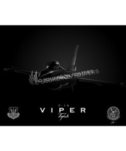 F-16 310th FS Luke AFB Jet Black Lithograph