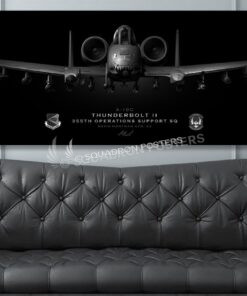 jet_black_a-10_355th_oss_60x20_sp01145-social-tab-on-woocommerce-jet-black-artwork-airplane