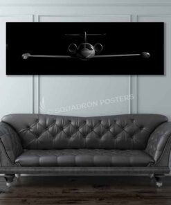 C-21 Jet Black Lithos