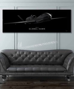 RQ-4 Global Hawk Jet Black Lithos