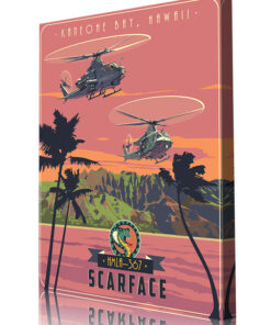 Kaneohe Bay Hawaii AH-1Z UH-1Y HMLA-367
