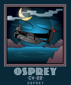 Mission Complete OSPREY Book Art