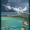 MCAS_Beaufort_Swamp_Foxes_SP00989-featured-aircraft-lithograph-vintage-airplane-poster-art