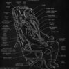 MK 1 Ejection Seat Blackboard Art MK 1 Ejection Seat Blackboard Art