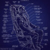 MK 1 Ejection Seat Blueprint Art MK 1 Ejection Seat Blueprint Art