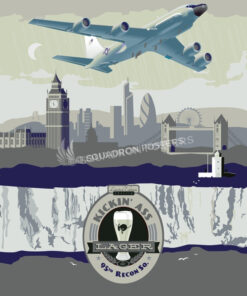 95th Reconnaissance Squadron