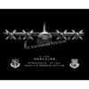 Minneapolis St Paul 133 Airlift Wing Jet Black Lithograph