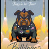 Minot AFB 740th MS Bravo Flight Bulldogs Art