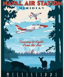 NAS Meridian T-45 Goshawk