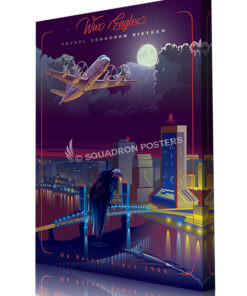 NAS Jacksonville VP-16 P-3 canvas poster art by Squadron Posters