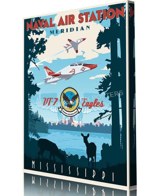 NAS Meridian Mississippi VT-7 Eagles - Squadron Posters