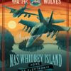 NAS-Whidbey-EA-18-VAQ-142-SP00483-vintage-military-aviation-travel-poster-art-print-gift