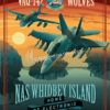 NAS Whidbey Island VAQ-142