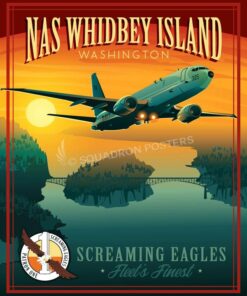 NAS Whidbey Island P-8 VP-1 Art by Squadron Posters!